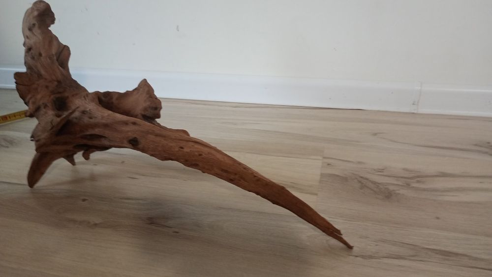 Japoński korzeń akwariowy