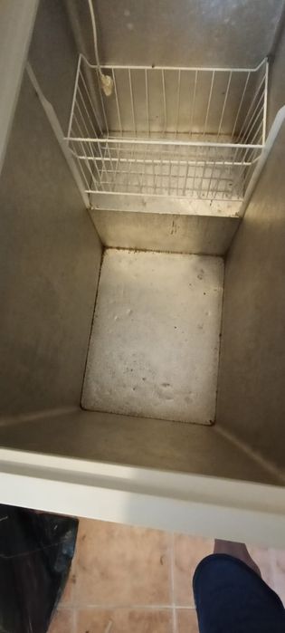 Arca      horizontal