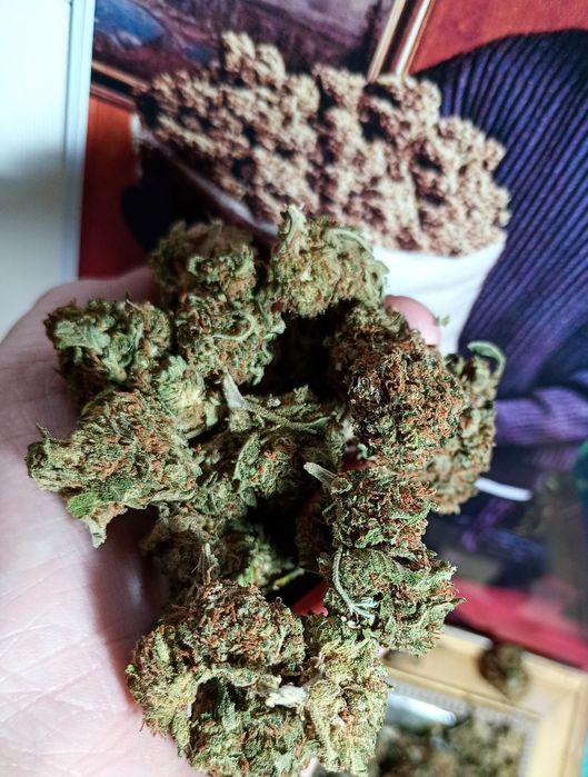 3g ROYAL SKYWALKER Susz Roślinny cbt cbl cbc Lot w kosmos! Działa !