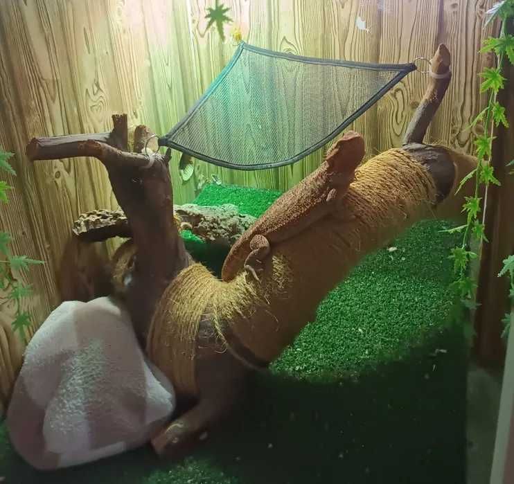 Acessorios para repteis