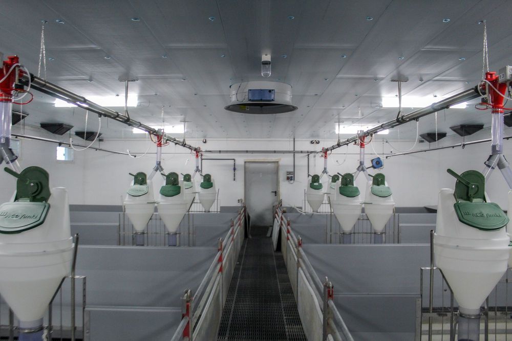 Błękitne Płyty Panele Thermo Izolacyjne XPS AGRO Zmywalna Podsufitka