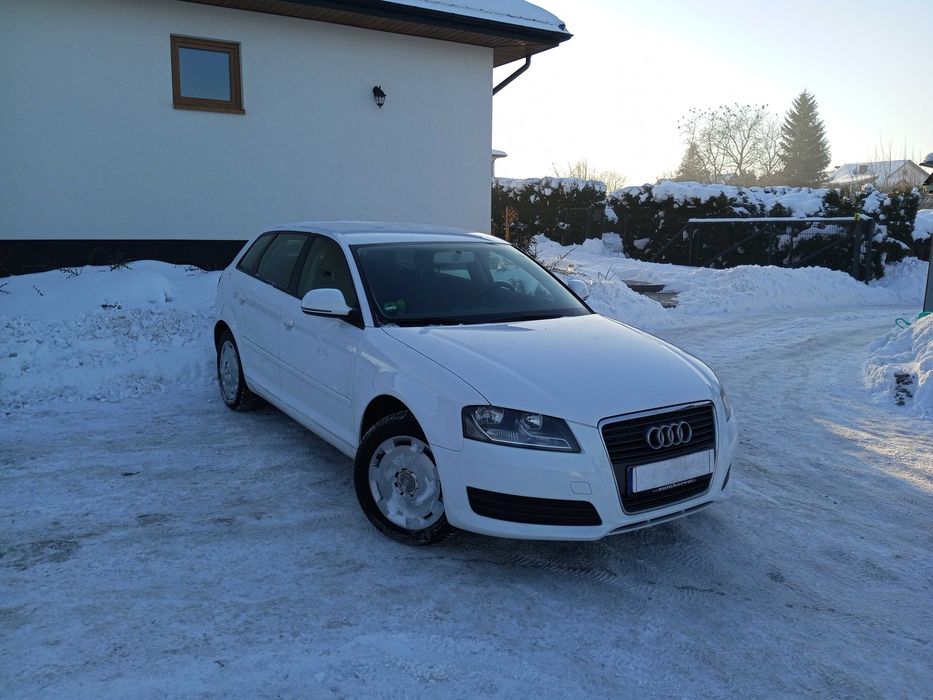 Audi A3 1.6 Benzyna 102 KM 2 kpl. kół