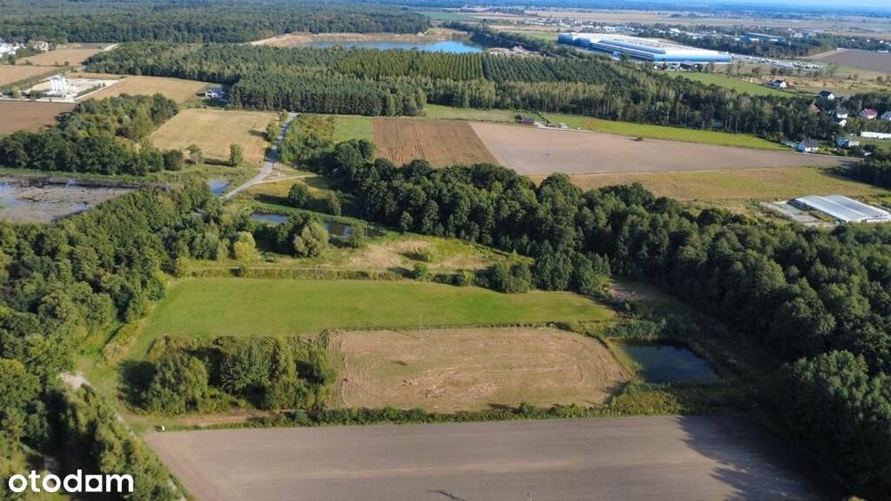 Działki Budowlane W Strzelcach, Gm. Dobroszyce