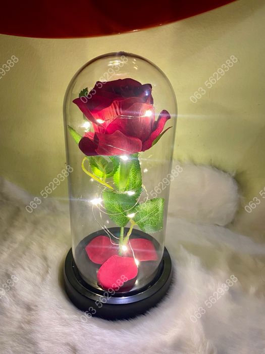 Троянда в колбі, роза в колбе, подарунок на 8 березня, тюльпан лед