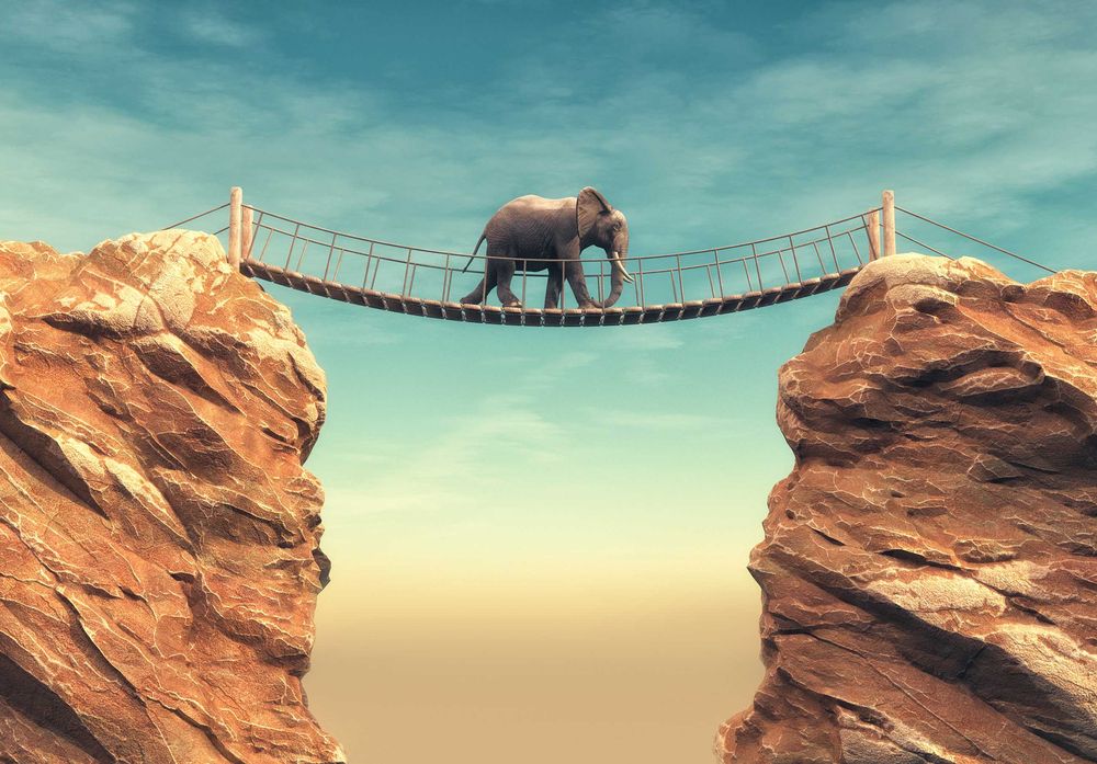 Fototapeta Most Słoń Abstrakcja Sen Do Pokoju Na Twój Rozmiar + KLEJ