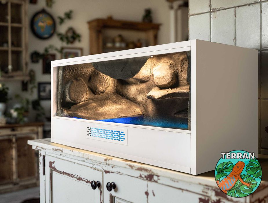 Terrarium 80x40x40cm Anolis Gekon wąż zbożowy agama