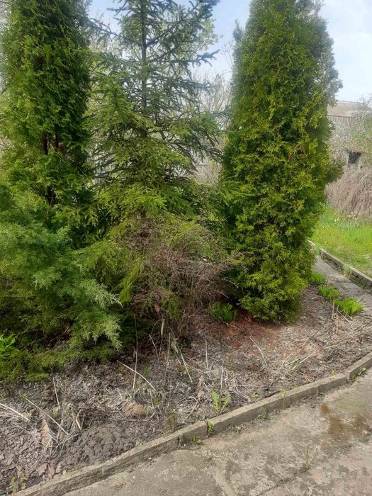 Продам дачу в Благодатному