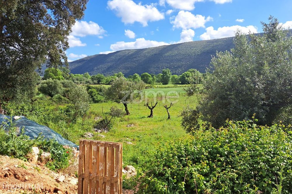 Terreno Urbanizável em Mira de Aire