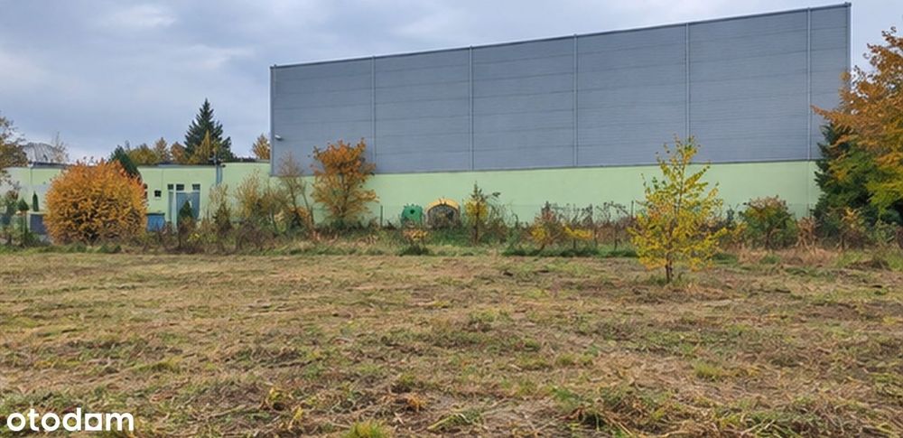 Działka, Rybnik