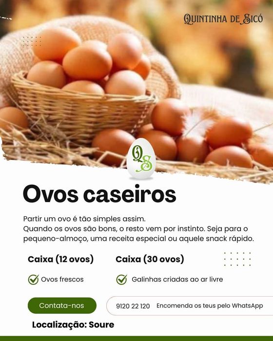 Ovos Caseiros Fresquinhos – Direto da quinta para Sua Mesa!