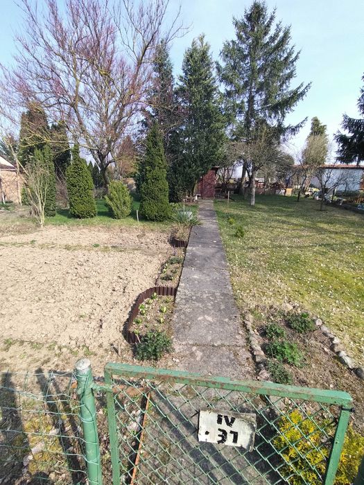 Sprzedam Dzialke 300m . Gorki Ustowskie ul. Poludniowa Szczecin - Widok 5