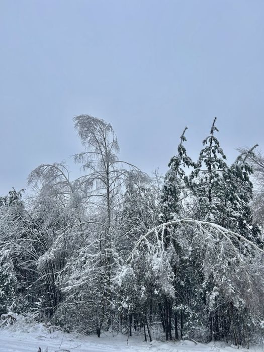 Земельна ділянка 2 Га!!! Копилів ! Терміново!