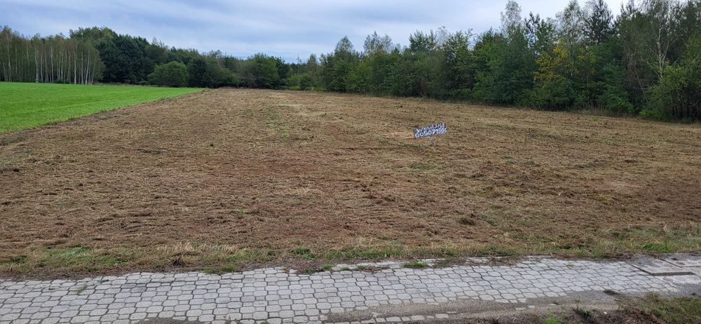 Wynajmę działkę pod inwestycje