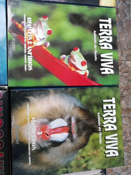 8 Lindos Livros Animais do Mundo