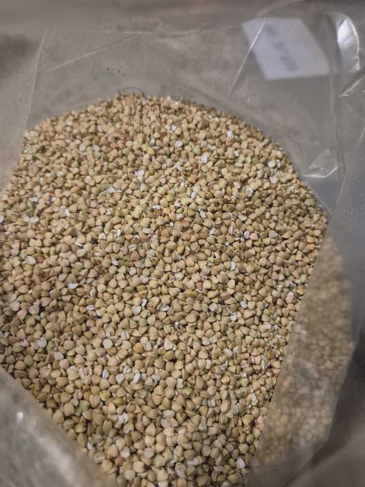 Kasza gryczana biała – ekologiczna, długie przechowywanie 25 kg