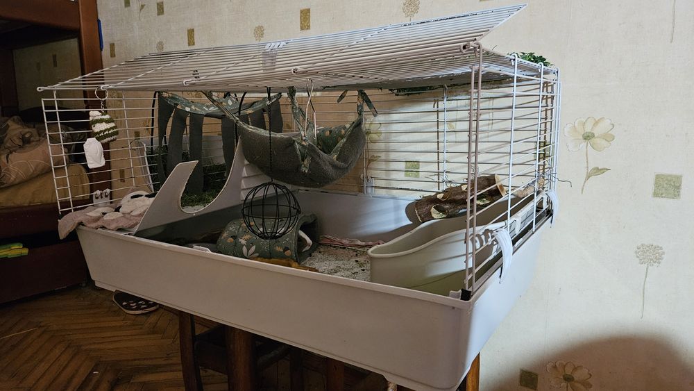 Клітка для морської свинки