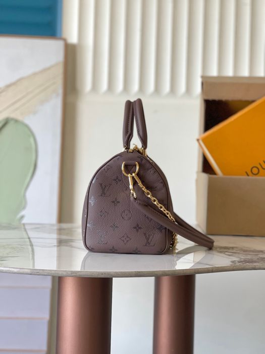 Сумка Louis Vuitton Speedy — лімітована модель