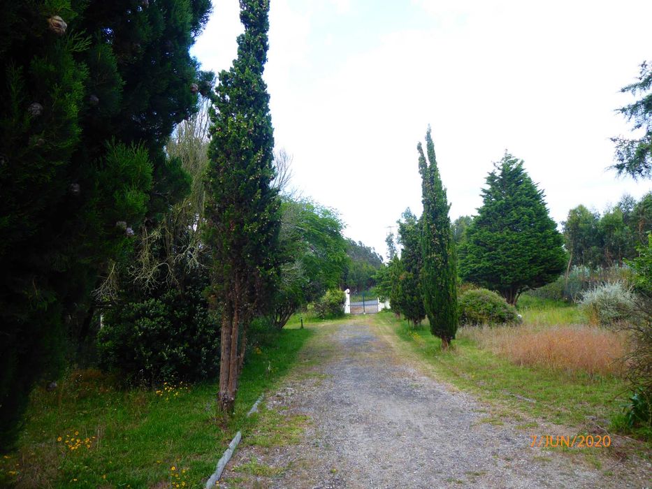 Propriedade aluga-se Peniche