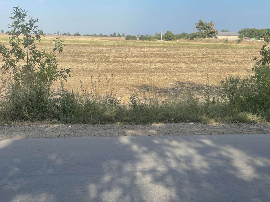 ОЧЕНЬ СРОЧНО продам   2 последних участка по  5 соток в с. Фонтанка