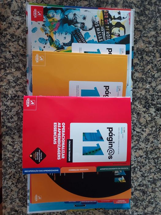 páginas 11 - projeto completo