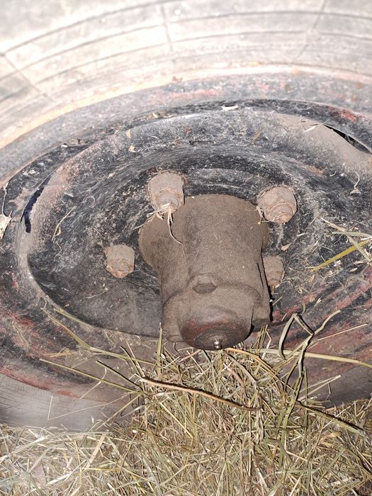 Продається фіра.