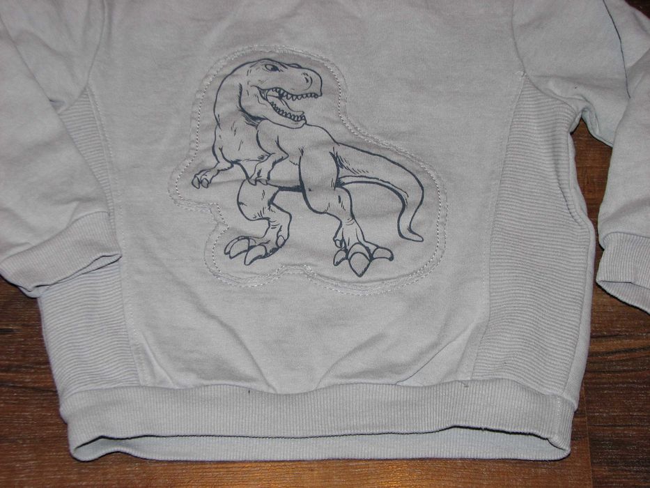 Little Kids bluza dinozaur 98 104