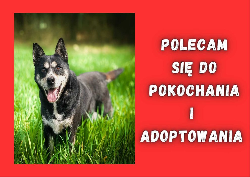 ANOE - marzy o nowym domu i rodzinie