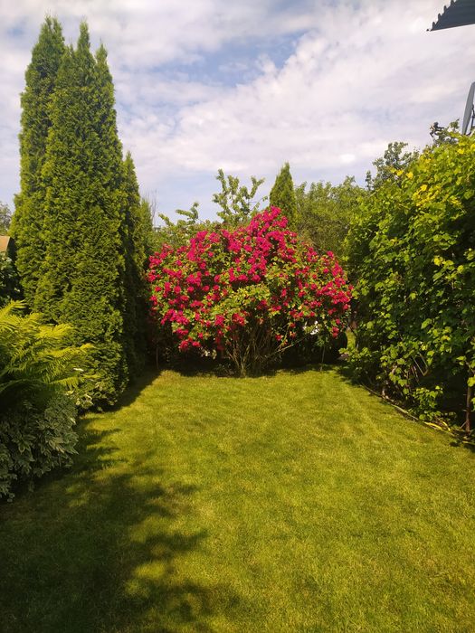 Загородный дом возле Черкасс