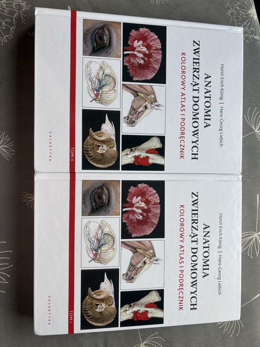 Anatomia zwierząt domowych