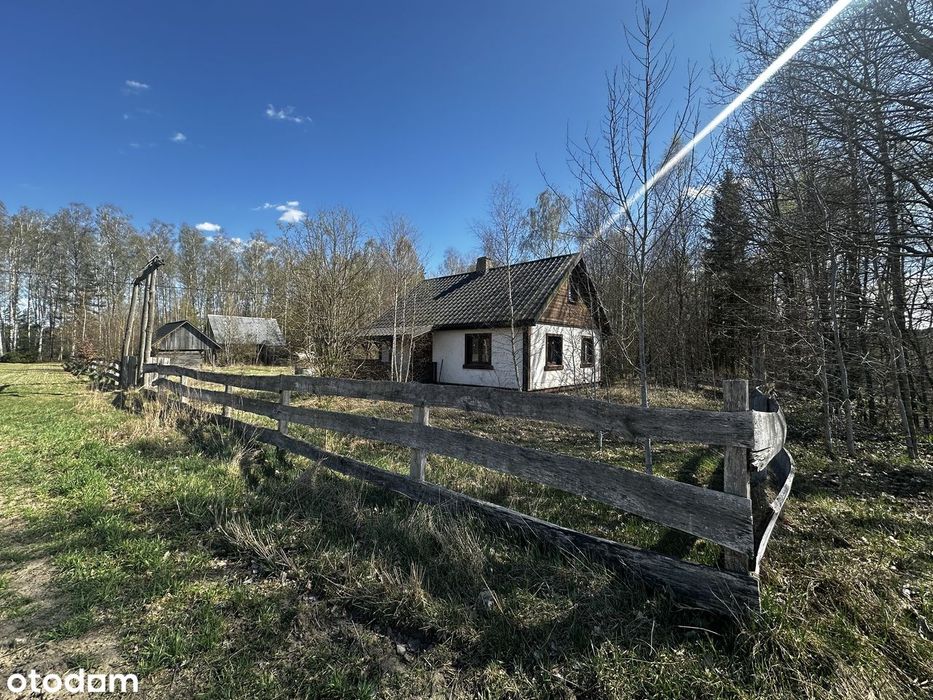 Ossolin - Urokliwe siedlisko wśród lasów i pól – brak prowizji!