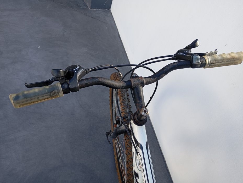 Bicicleta Branca