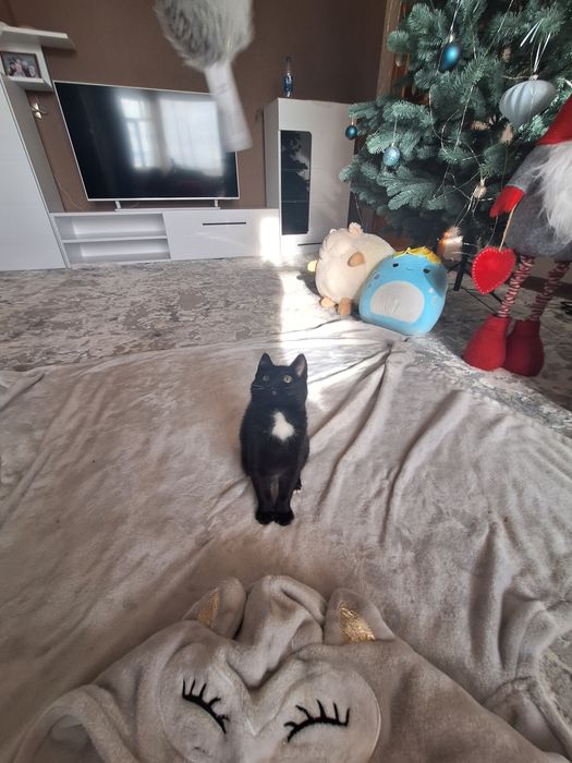 Хлопчик в хороші руки