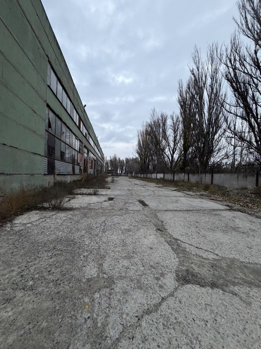 Аренда отдельно стоящего производственного помещения