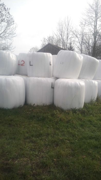 Sianokiszonka trawa, lucerna