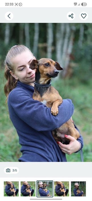 5kg samiec do adopcji