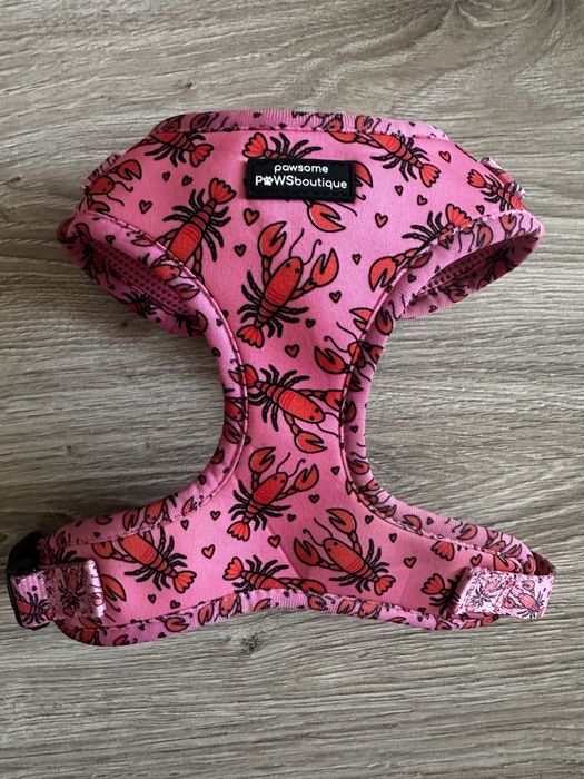 Шлейка для собак р.S