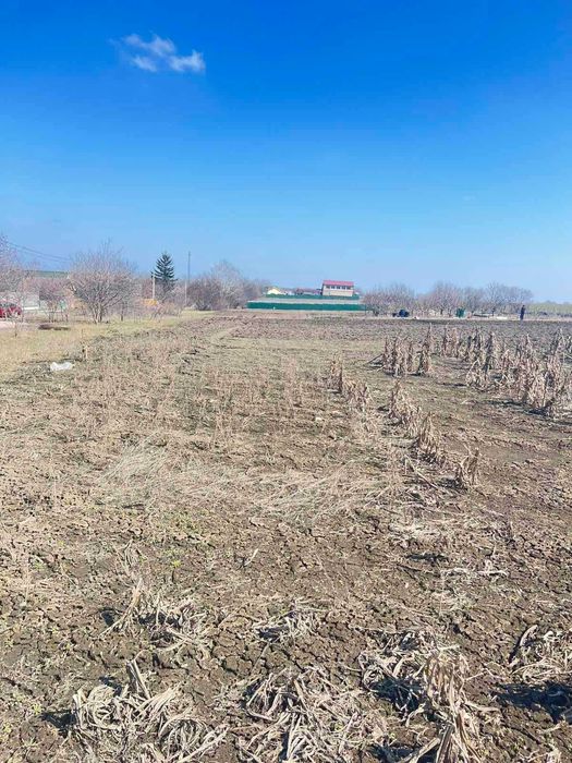 Продаж земельних ділянок