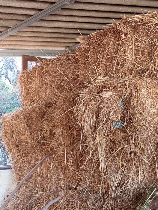 Vendo fardos de palha de erva em bom estado fardos grandes e bem apertados
