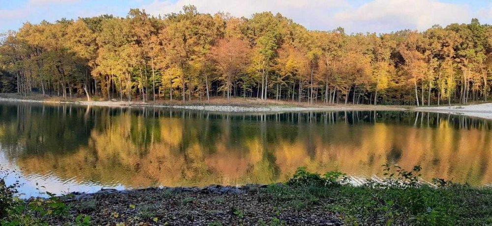 VIP-вілли / готельно - SPA бізнес / Частковий ремонт / Басівка / Львів