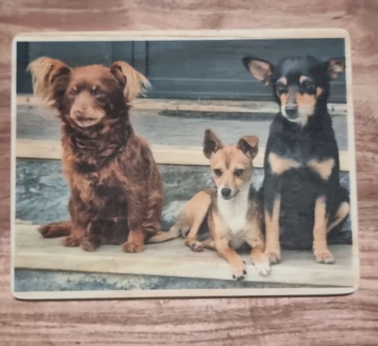Quadro em madeira personalizado (fotos apenas para exemplo)