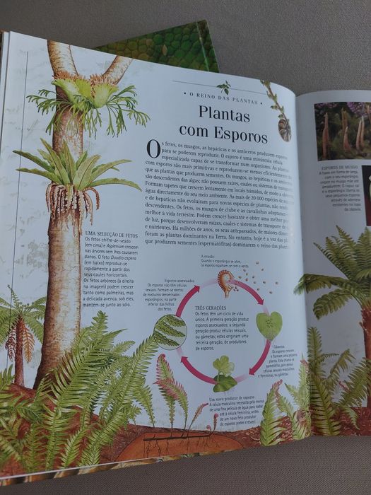 2 Livros de Ciências