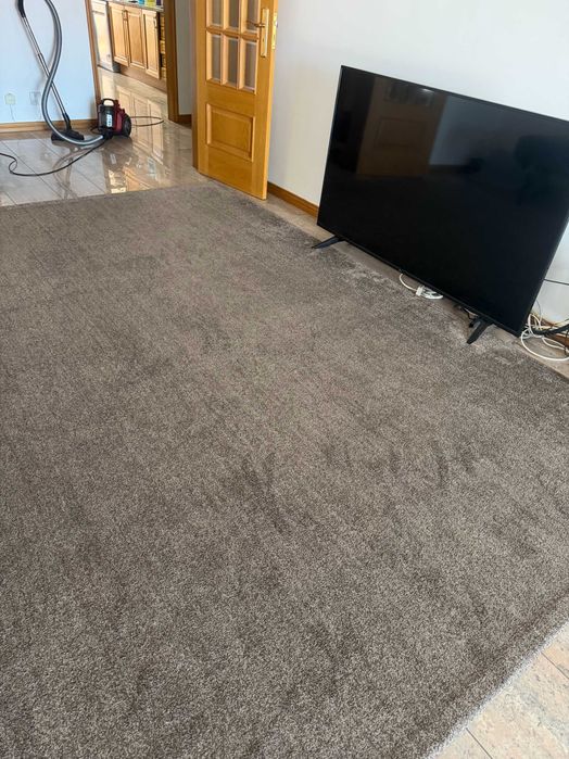 Tapete Verona Light Brown 240x340 cm