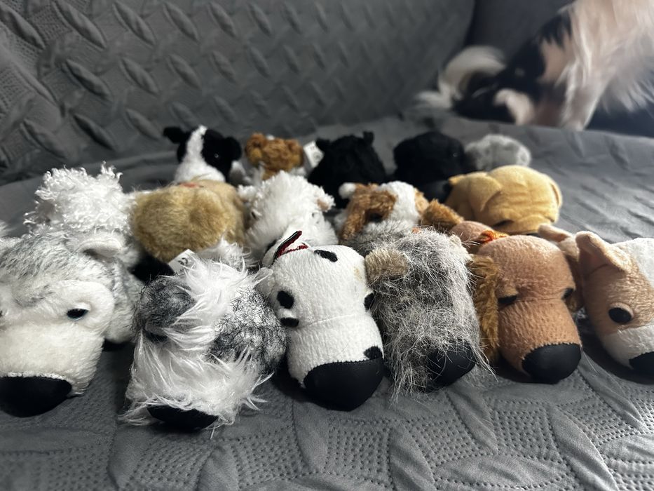 The dog collection і два котики в подарунок)