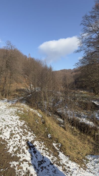 Земельна ділянка 1.9915га