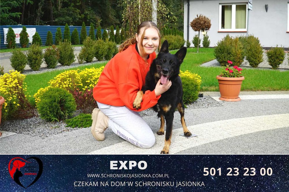 Expo do adopcji – Schronisko Jasionka