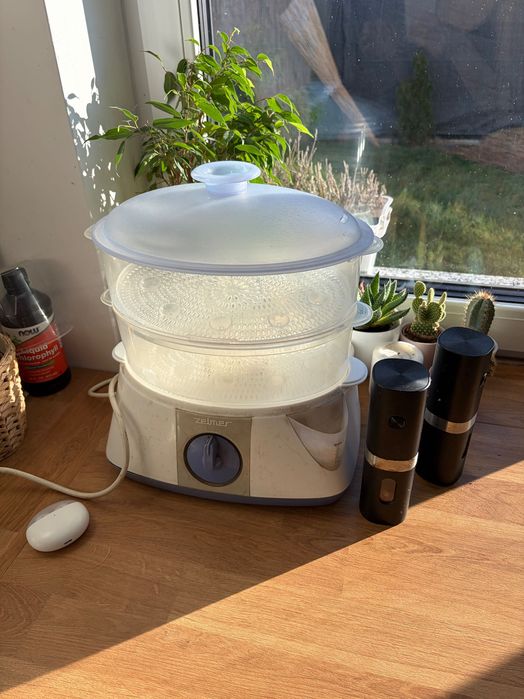 Parowar Zelmer sprawny