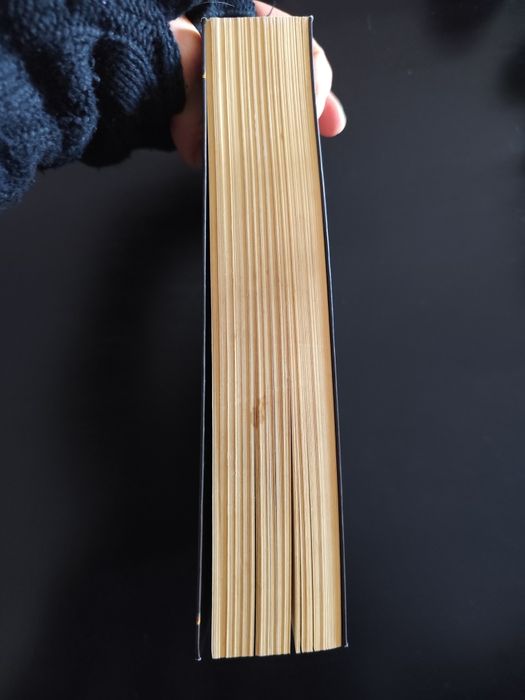 Livro "A 11ª Praga"