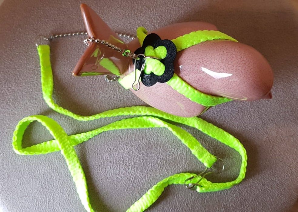 Correntes para aves domesticadas