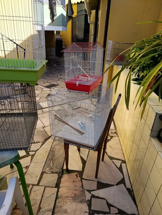 Gaiolas para passaros
