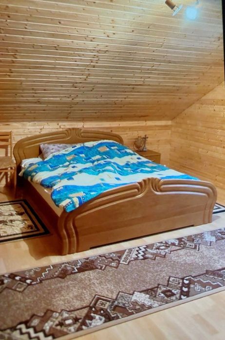 Будинок для проживання та бізнесу